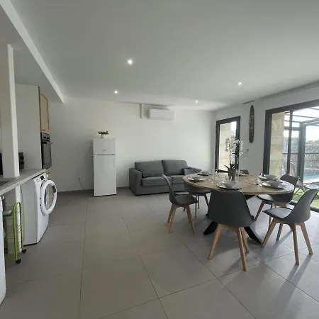 Avec Piscine Chauffee, Jardin Prive Et Climatisation - Fr-1-489-471 Kır Evi Couzon